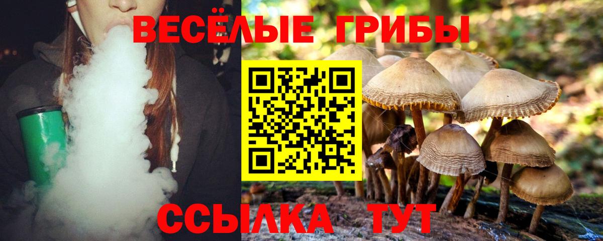 Галлюциногенные грибы Magic Shrooms Моршанск