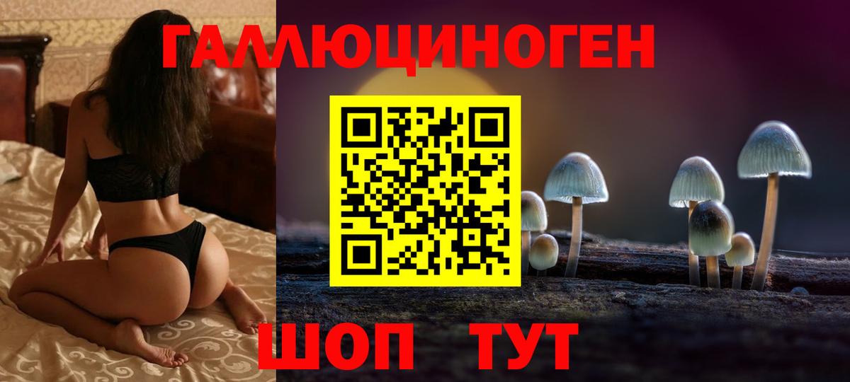 Псилоцибиновые грибы GOLDEN TEACHER  Вход с VPN  Моршанск 